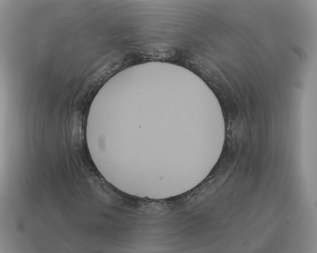 X0000113181058200910021538