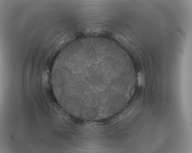 X0000113181059200910021538