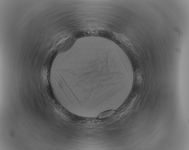 X0000113181060200910021538