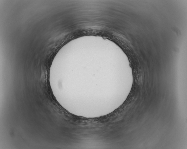 X0000113181061200910021538