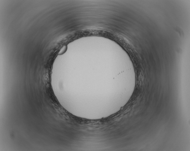 X0000113181062200910021538