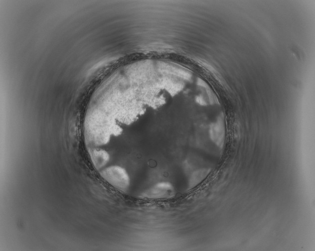 X0000113181063200910021538