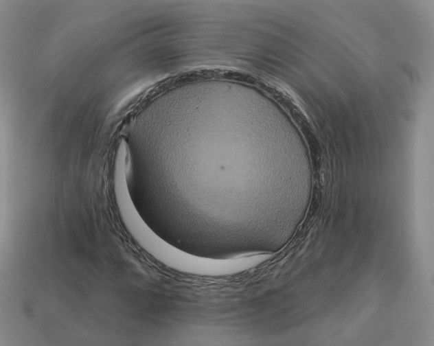 X0000113181064200910021538