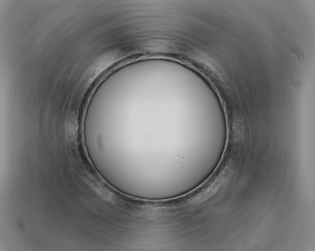 X0000113181065200910021538