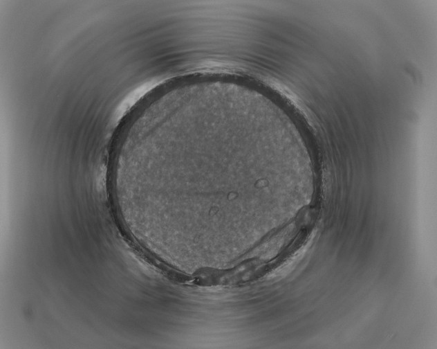 X0000113181066200910021538