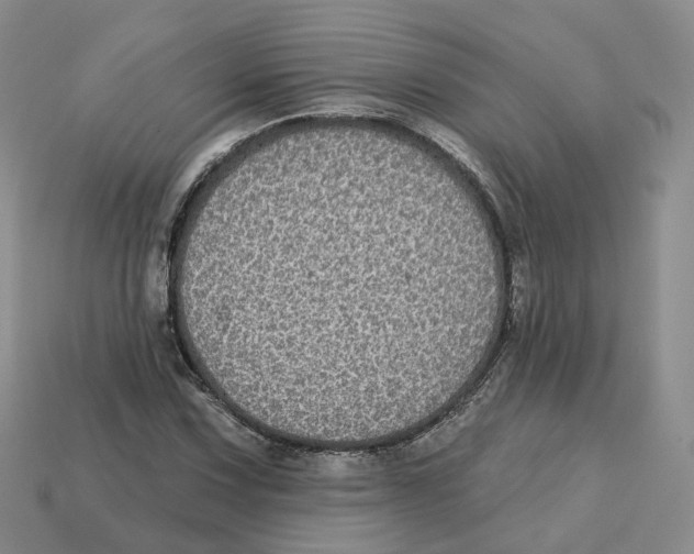 X0000113181067200910021538