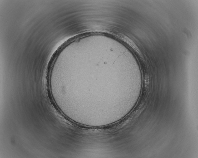 X0000113181068200910021538