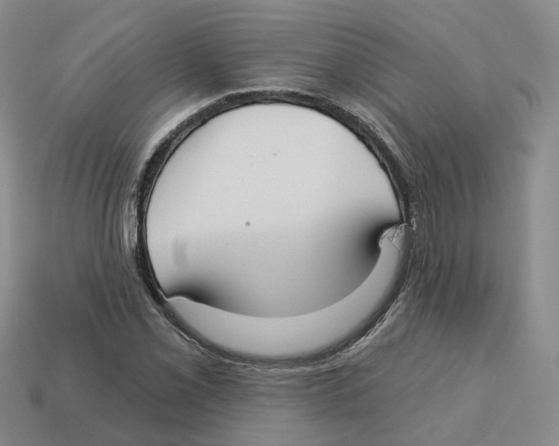X0000113181069200910021538