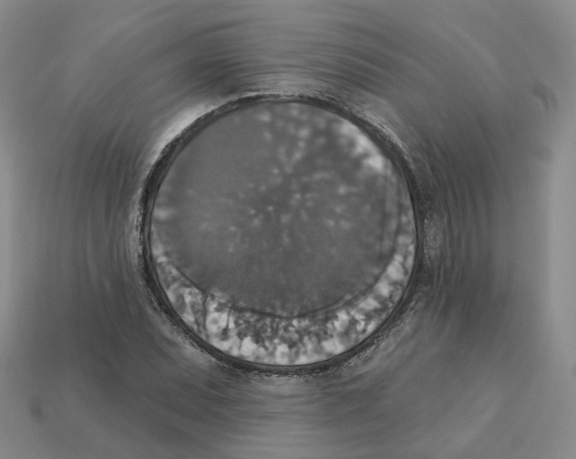X0000113181071200910021538