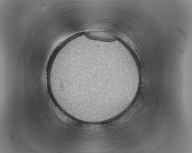X0000113181072200910021538