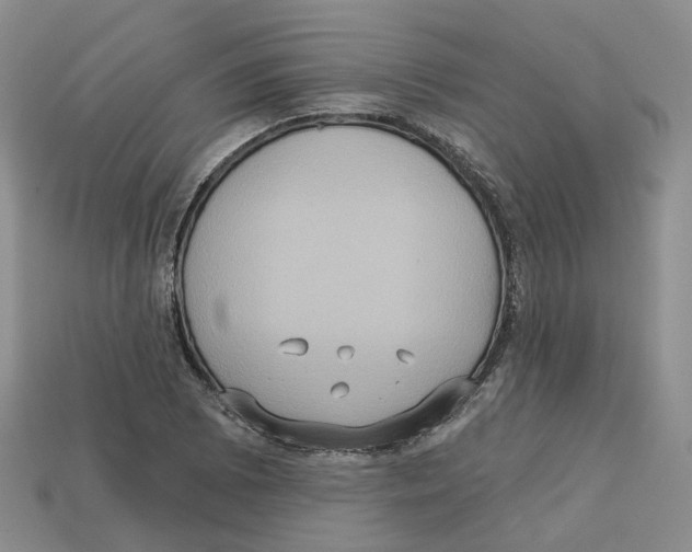 X0000113181073200910021538