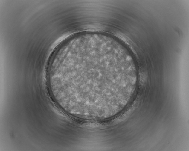 X0000113181074200910021538