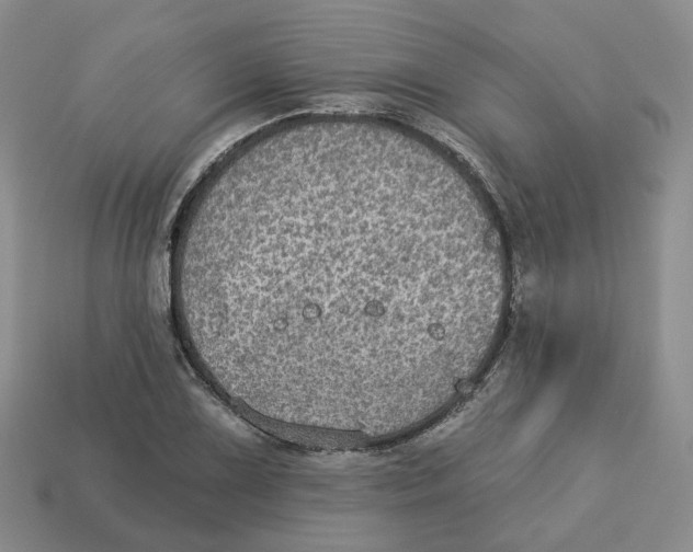 X0000113181075200910021538