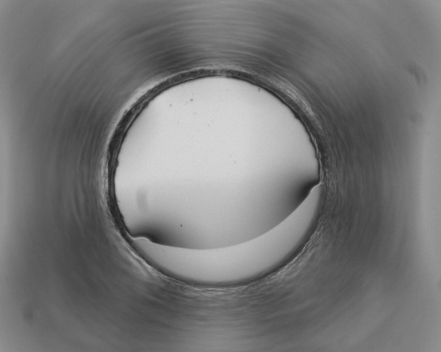X0000113181076200910021538