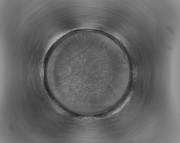 X0000113181077200910021538