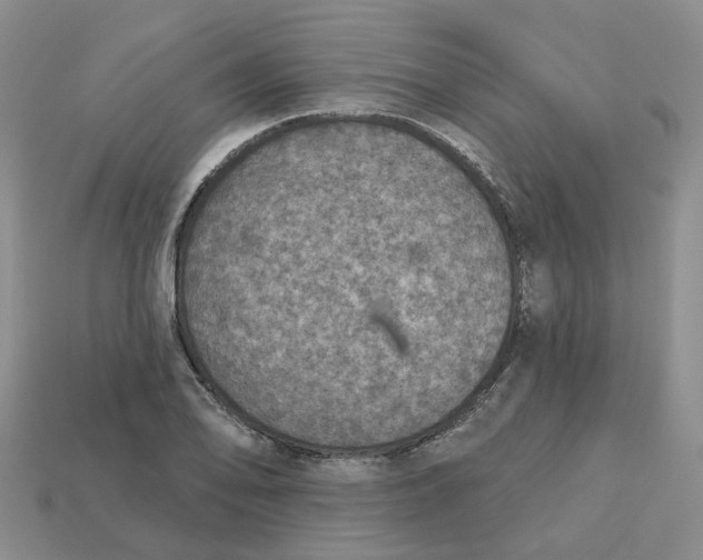 X0000113181078200910021538