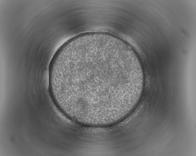 X0000113181079200910021538