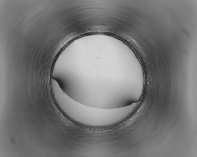 X0000113181081200910021538