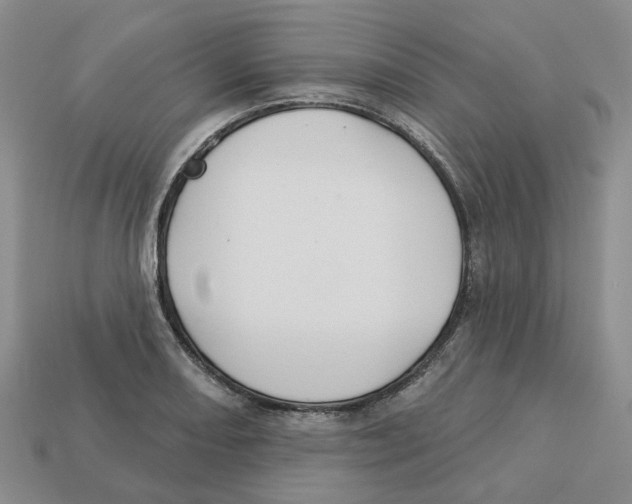 X0000113181082200910021538