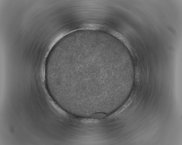 X0000113181083200910021538