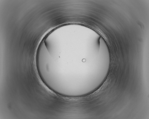 X0000113181084200910021538