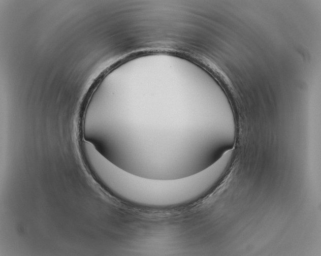 X0000113181085200910021538