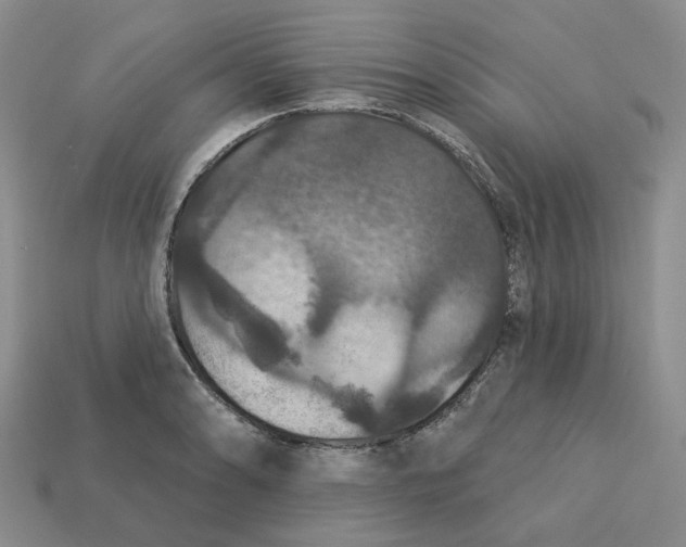 X0000113181086200910021538