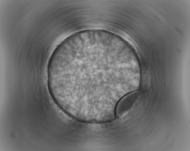X0000113181088200910021538
