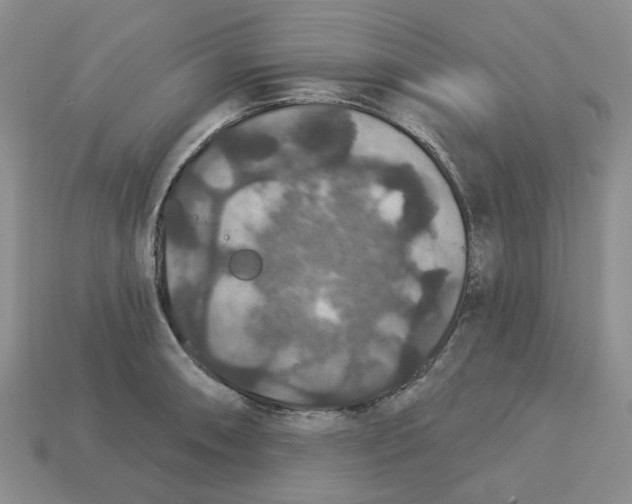 X0000113181090200910021538