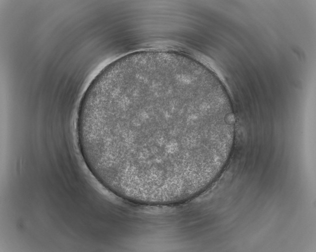 X0000113181091200910021538