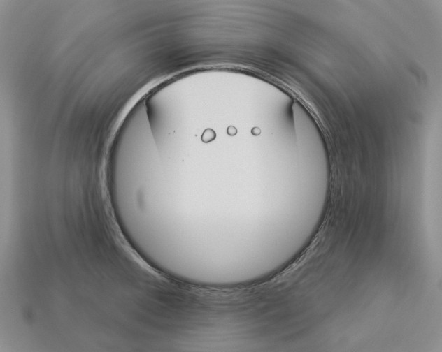 X0000113181092200910021538