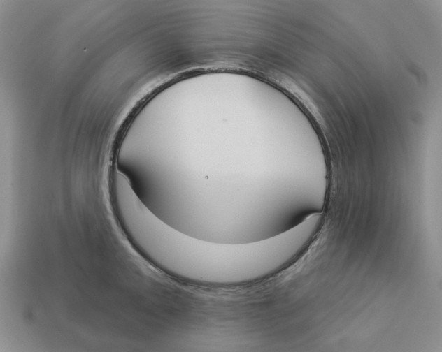X0000113181093200910021538