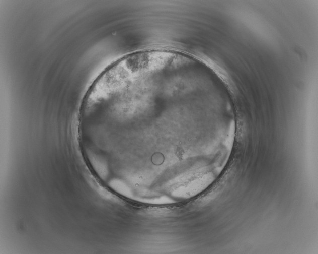 X0000113181094200910021538