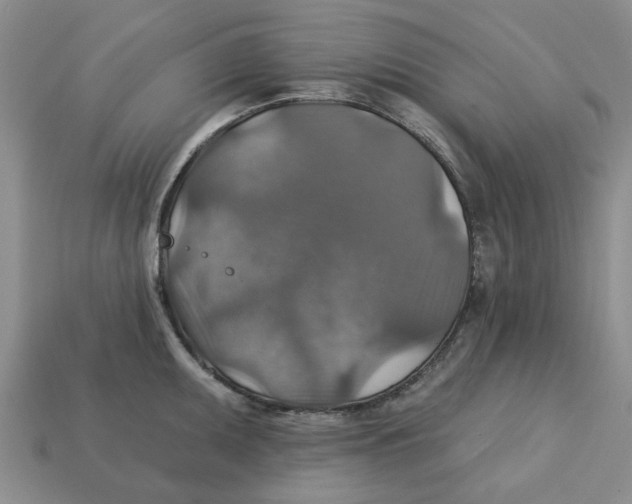 X0000113181095200910021538