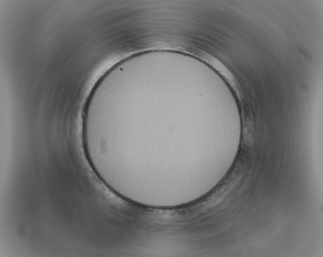 X0000113181096200910021538