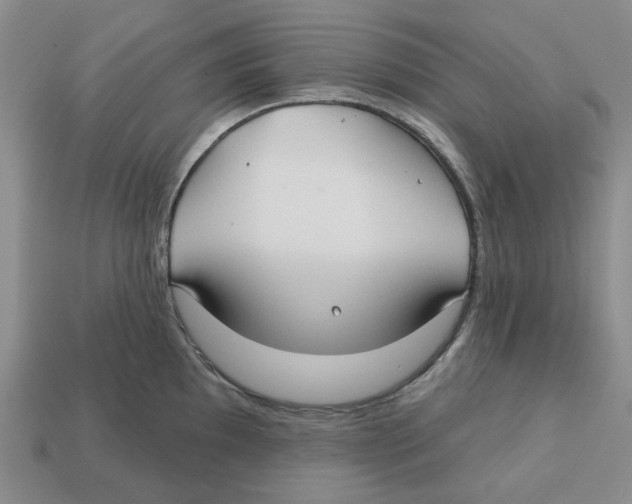X0000113181097200910021538