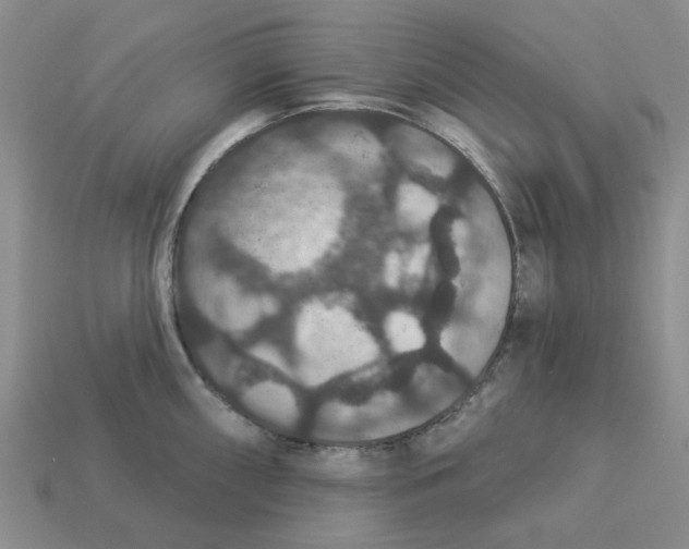 X0000113181098200910021538
