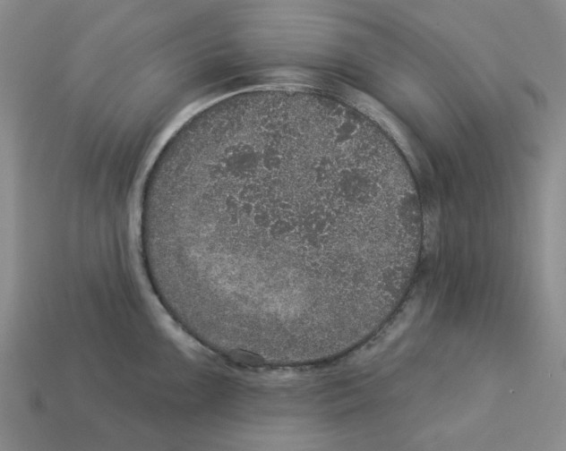 X0000113181099200910021538