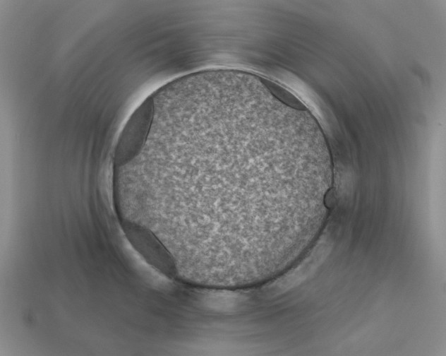 X0000113181100200910021538