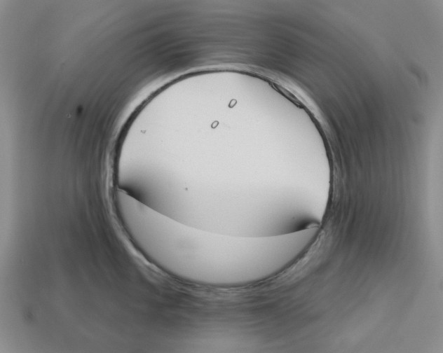 X0000113181101200910021538