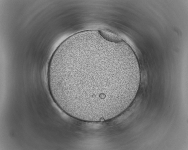 X0000113181103200910021538