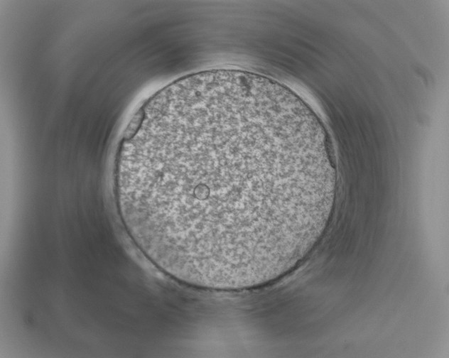 X0000113181104200910021538