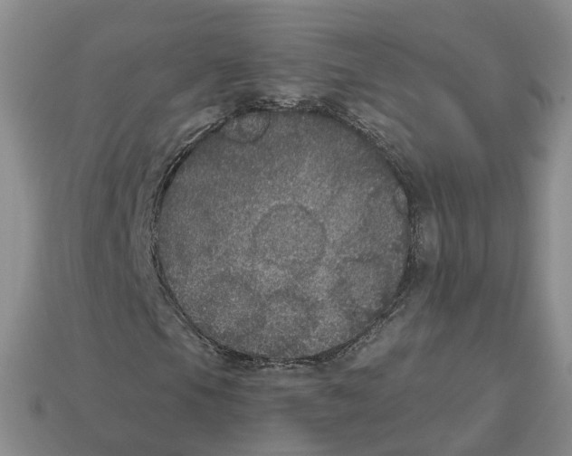 X0000113181105200910021537