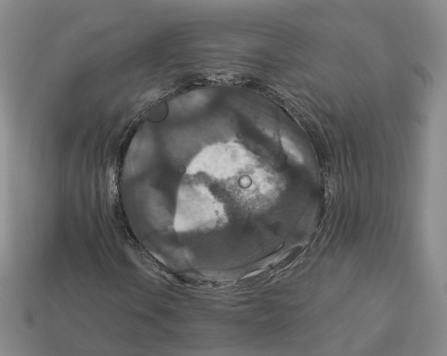 X0000113181106200910021537