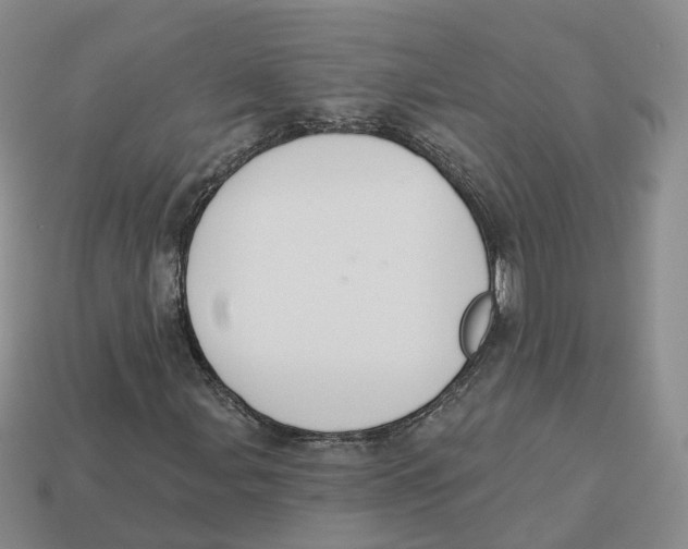 X0000113181107200910021537
