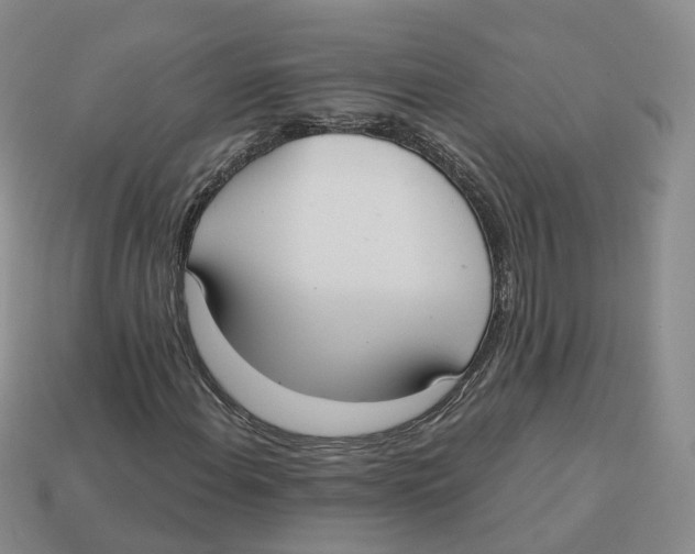 X0000113181108200910021537