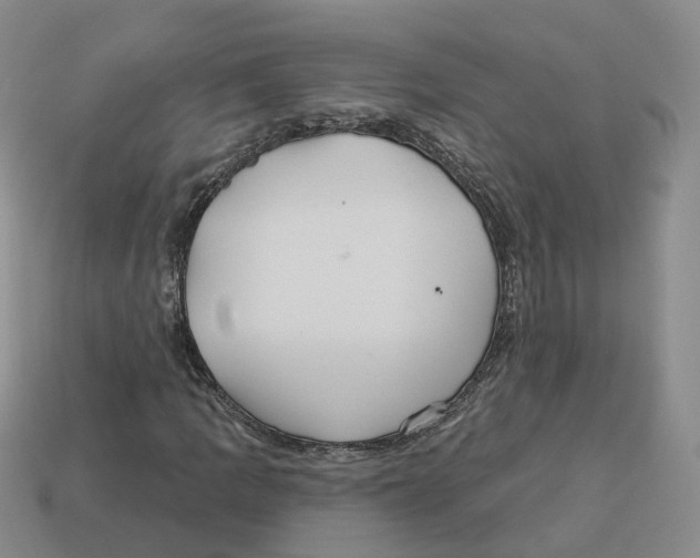 X0000113181109200910021537