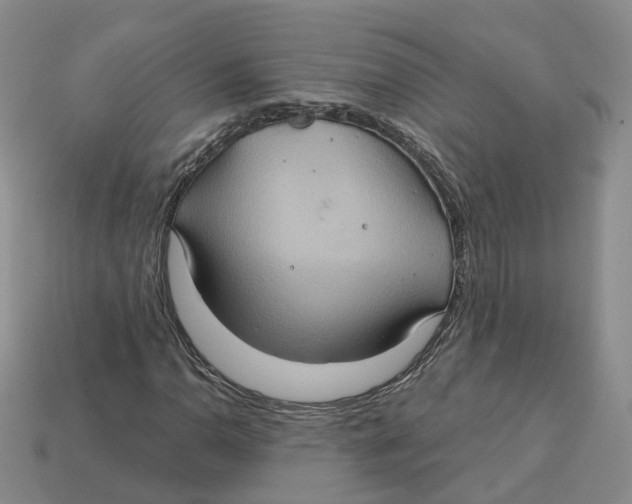 X0000113181110200910021537