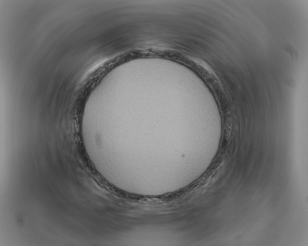 X0000113181112200910021537