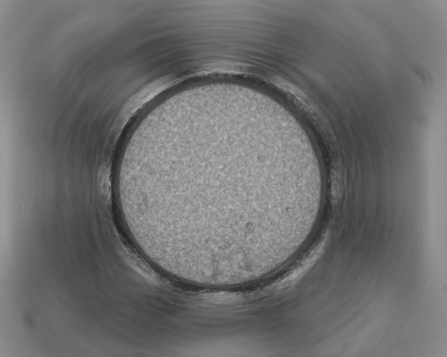 X0000113181113200910021537